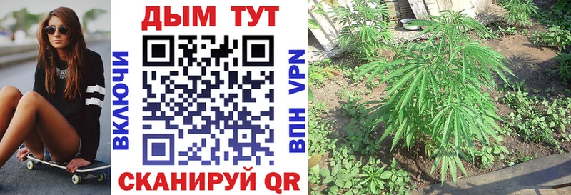 Виды наркотиков купить Лагань Кокаин  Alpha PVP  Марихуана  ГАШ 