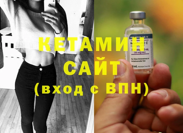 дмт Ельня