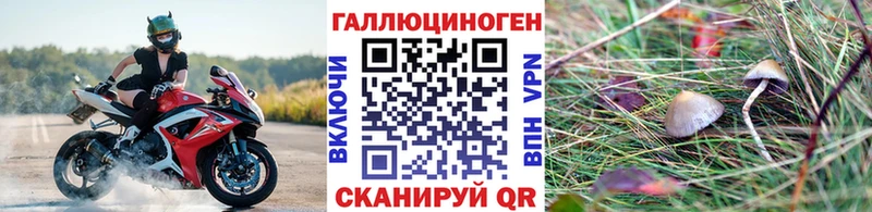 Псилоцибиновые грибы GOLDEN TEACHER Лагань
