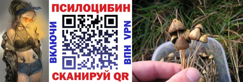 мега зеркало  Лагань  Галлюциногенные грибы MAGIC MUSHROOMS 