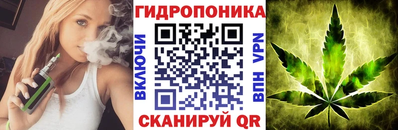 Бошки Шишки конопля Лагань